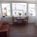 Saniertes Nichtraucher Studioappartement Westseite Ohne Tiere